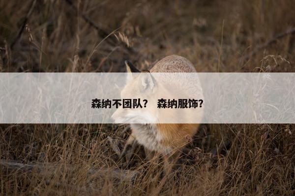 森纳不团队？ 森纳服饰？