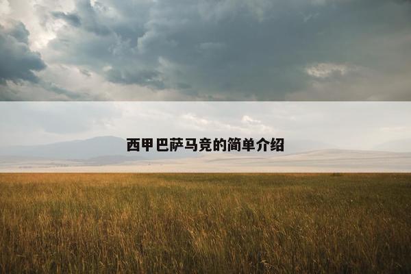 西甲巴萨马竞的简单介绍