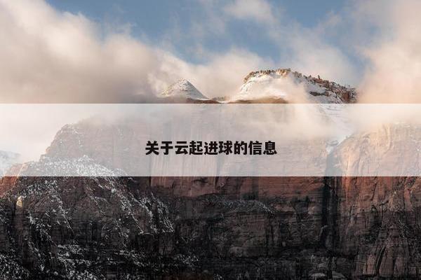 关于云起进球的信息