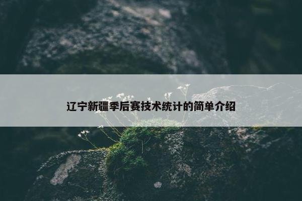 辽宁新疆季后赛技术统计的简单介绍