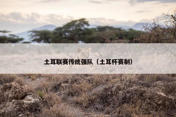 土耳联赛传统强队（土耳杯赛制）