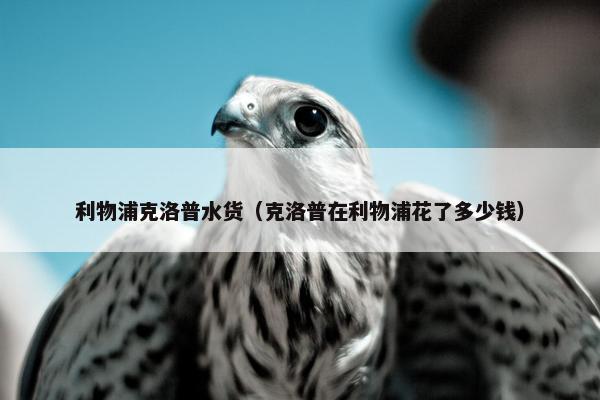 利物浦克洛普水货（克洛普在利物浦花了多少钱）