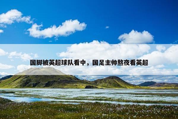 国脚被英超球队看中，国足主帅熬夜看英超