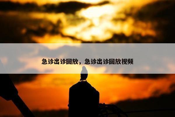 急诊出诊回放，急诊出诊回放视频