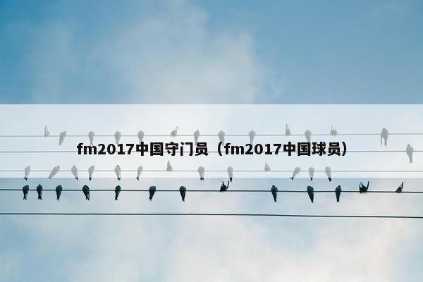 fm2017中国守门员（fm2017中国球员）