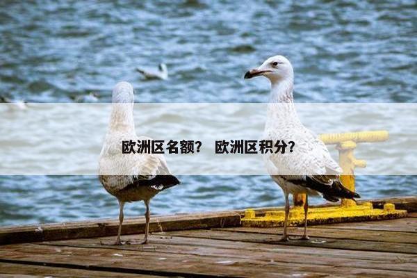 欧洲区名额？ 欧洲区积分？
