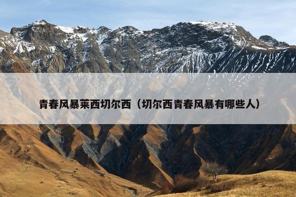 青春风暴莱西切尔西（切尔西青春风暴有哪些人）