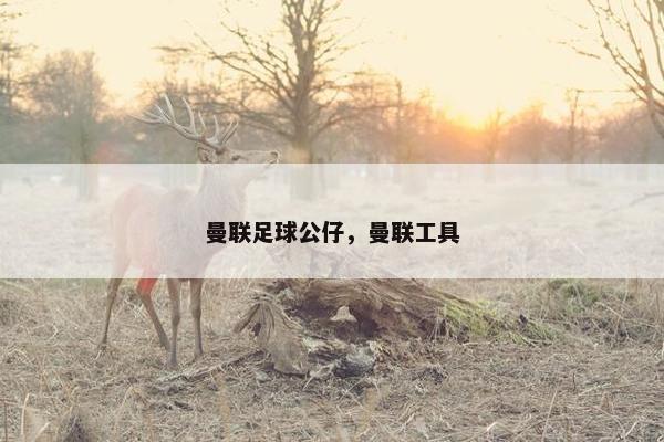曼联足球公仔，曼联工具