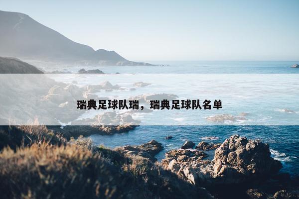 瑞典足球队瑞，瑞典足球队名单