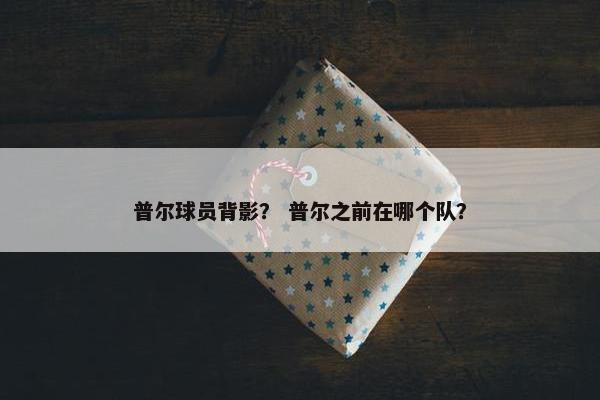 普尔球员背影？ 普尔之前在哪个队？