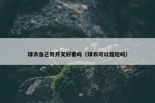 球衣自己剪开叉好看吗（球衣可以裁短吗）