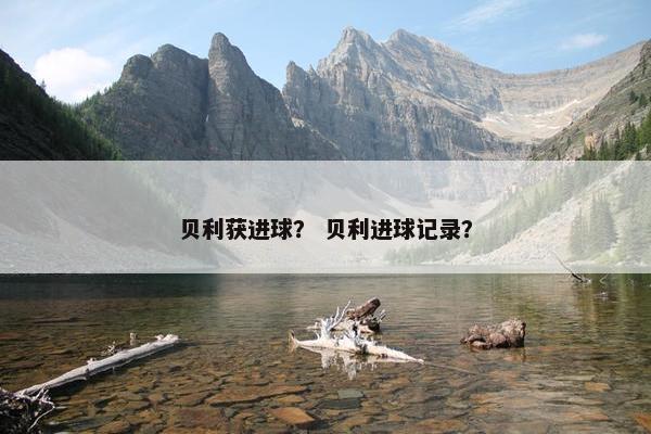 贝利获进球？ 贝利进球记录？