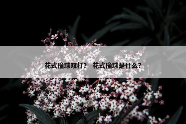 花式撞球双打？ 花式撞球是什么？