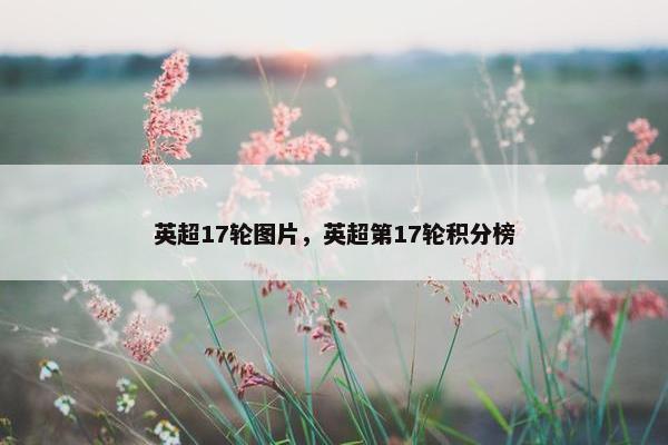 英超17轮图片，英超第17轮积分榜