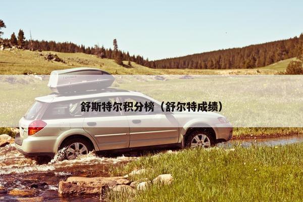 舒斯特尔积分榜（舒尔特成绩）