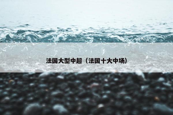 法国大型中超（法国十大中场）
