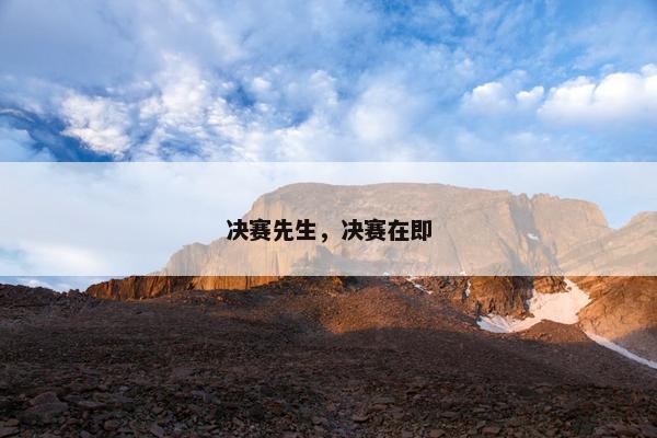 决赛先生，决赛在即
