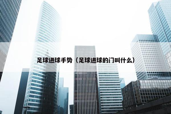 足球进球手势（足球进球的门叫什么）