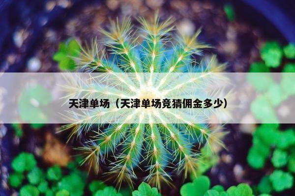 天津单场（天津单场竞猜佣金多少）