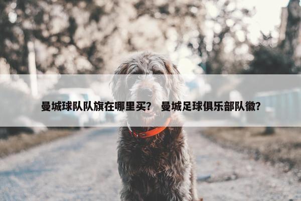 曼城球队队旗在哪里买？ 曼城足球俱乐部队徽？