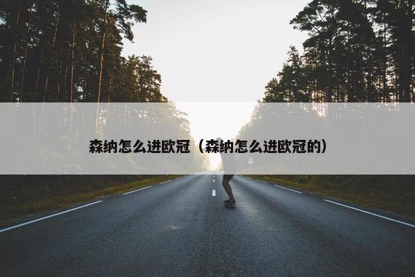 森纳怎么进欧冠（森纳怎么进欧冠的）
