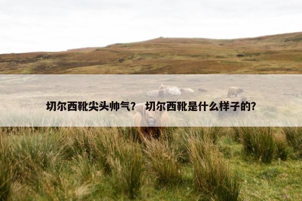 切尔西靴尖头帅气？ 切尔西靴是什么样子的？