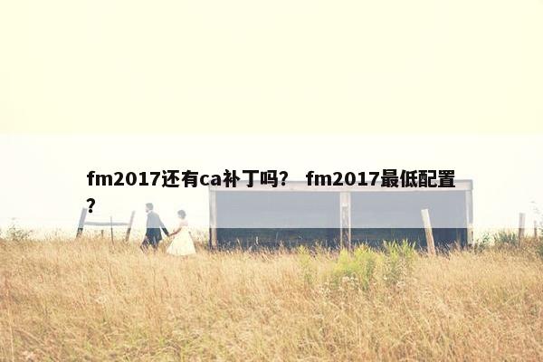 fm2017还有ca补丁吗？ fm2017最低配置？