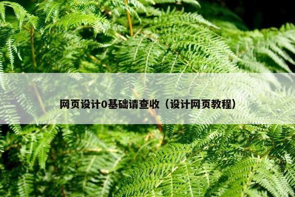 网页设计0基础请查收（设计网页教程）