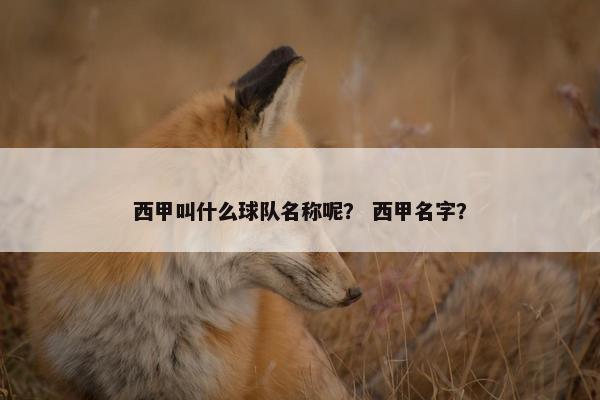 西甲叫什么球队名称呢？ 西甲名字？