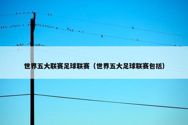 世界五大联赛足球联赛（世界五大足球联赛包括）