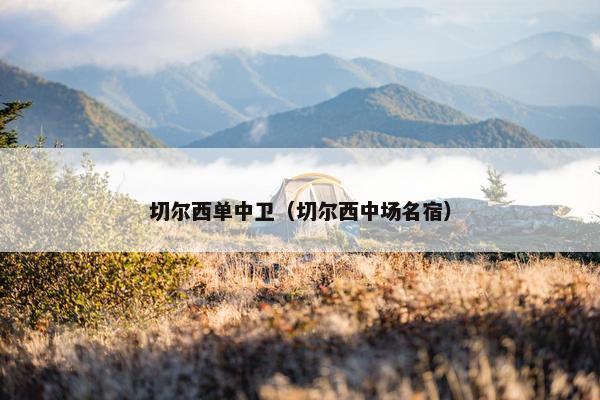 切尔西单中卫（切尔西中场名宿）