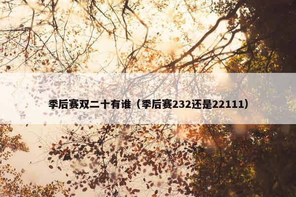季后赛双二十有谁（季后赛232还是22111）