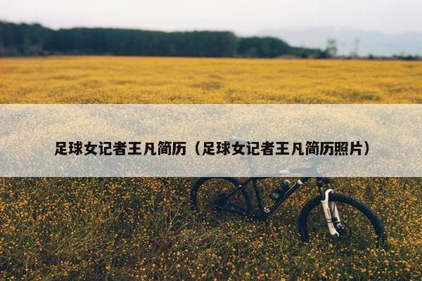 足球女记者王凡简历（足球女记者王凡简历照片）