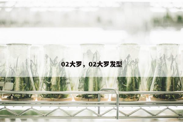 02大罗，02大罗发型