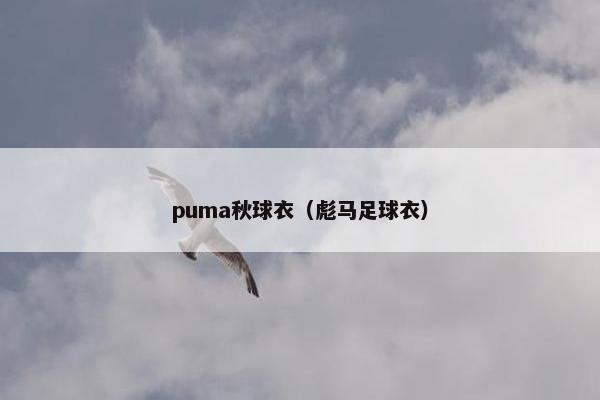 puma秋球衣（彪马足球衣）