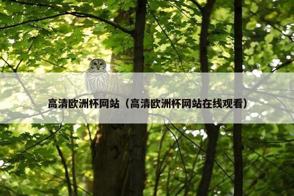 高清欧洲杯网站（高清欧洲杯网站在线观看）