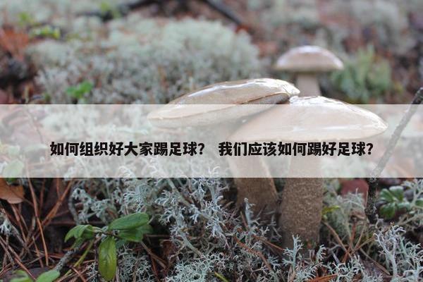 如何组织好大家踢足球？ 我们应该如何踢好足球？
