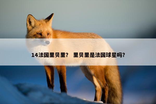 14法国里贝里？ 里贝里是法国球星吗？