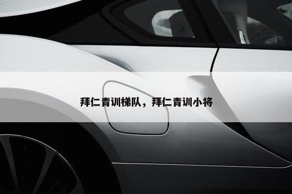 拜仁青训梯队，拜仁青训小将