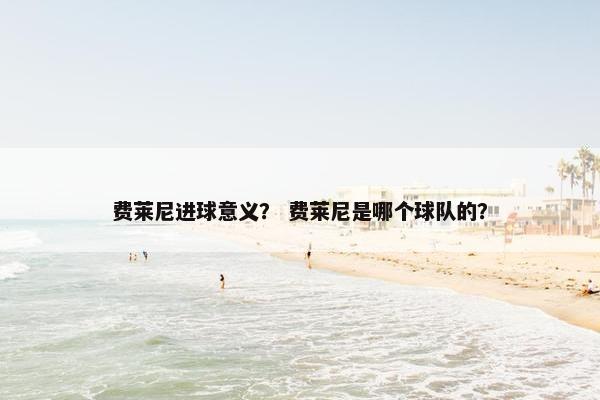 费莱尼进球意义？ 费莱尼是哪个球队的？
