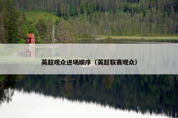 英超观众进场顺序（英超联赛观众）