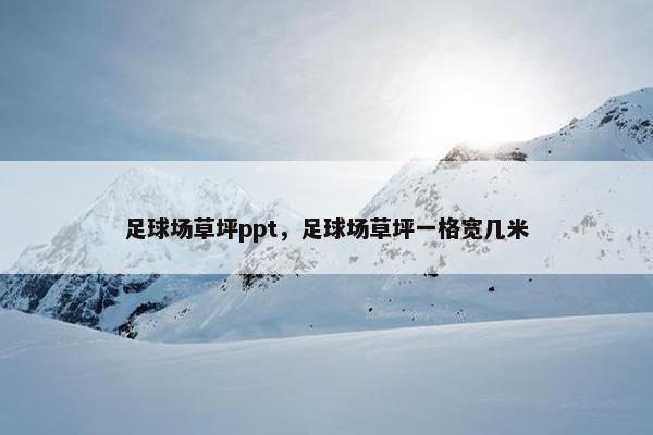 足球场草坪ppt，足球场草坪一格宽几米