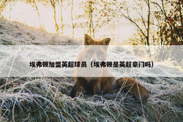 埃弗顿加盟英超球员（埃弗顿是英超豪门吗）