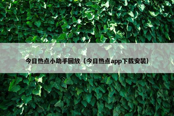 今日热点小助手回放（今日热点app下载安装）