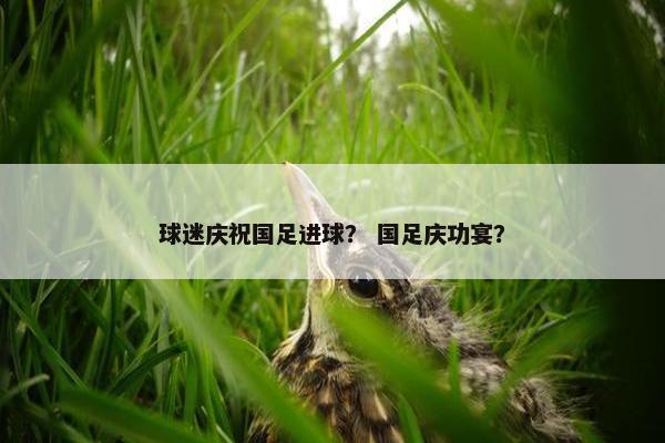 球迷庆祝国足进球？ 国足庆功宴？