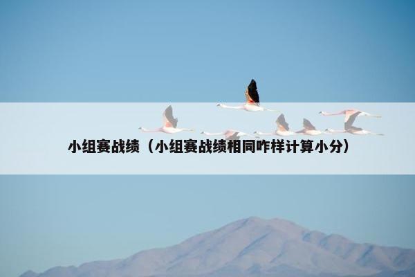 小组赛战绩（小组赛战绩相同咋样计算小分）