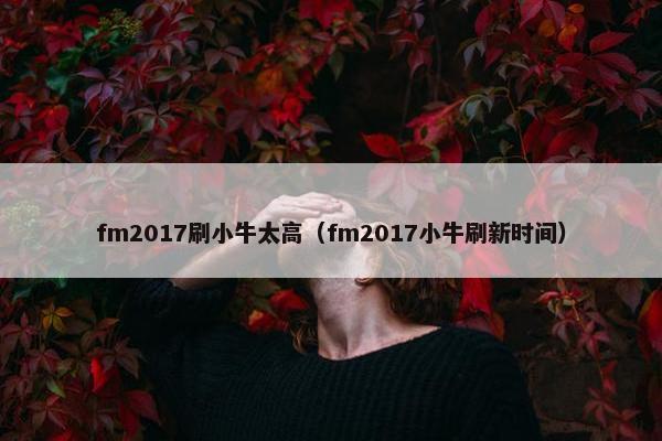 fm2017刷小牛太高（fm2017小牛刷新时间）