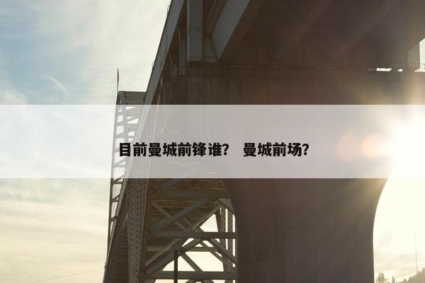 目前曼城前锋谁？ 曼城前场？