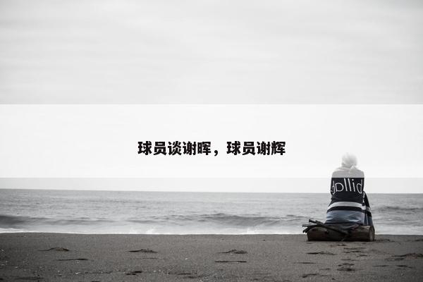 球员谈谢晖，球员谢辉