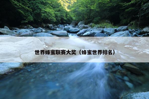 世界蜂蜜联赛大奖（蜂蜜世界排名）